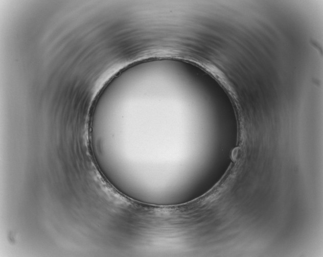 X0000100910904200807011241