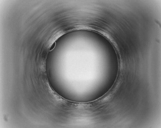 X0000100910905200807011240