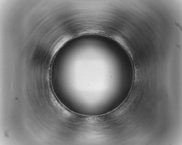 X0000100910906200807011240