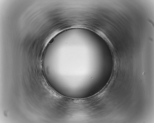 X0000100910908200807011240