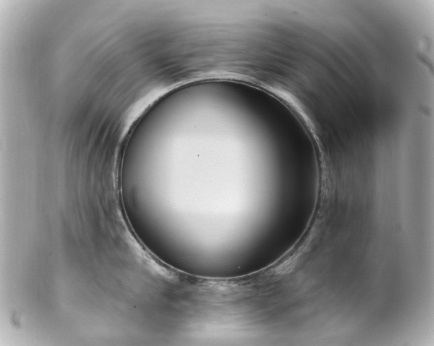 X0000100910910200807011240