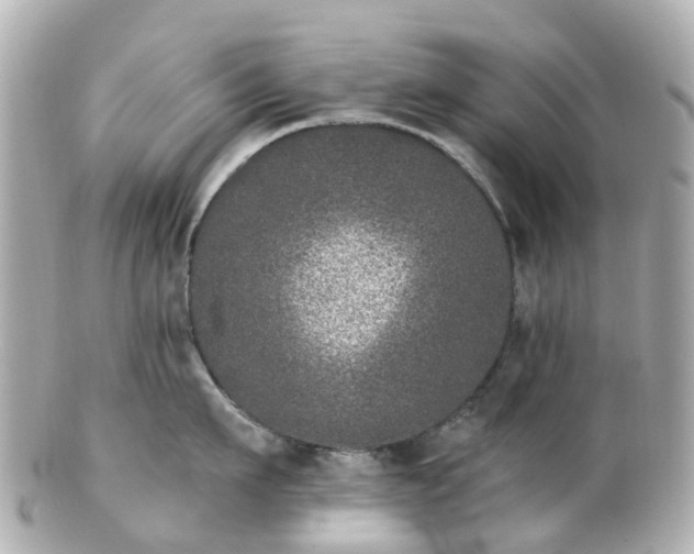 X0000100910911200807011240