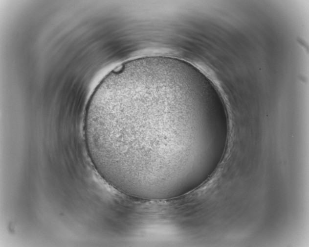 X0000100910912200807011240
