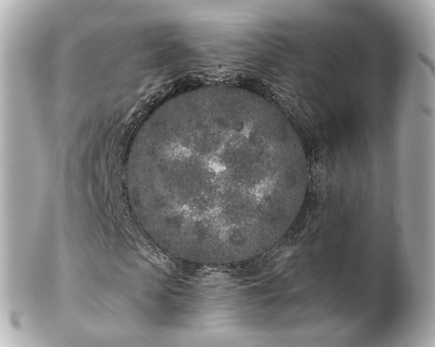 X0000100910913200807011240