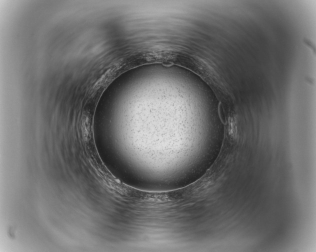 X0000100910915200807011240