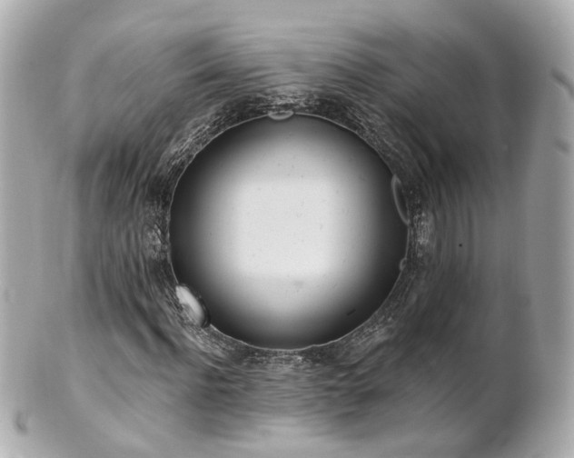 X0000100910916200807011240