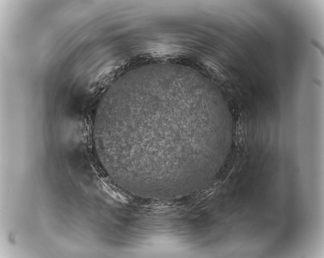 X0000100910917200807011240