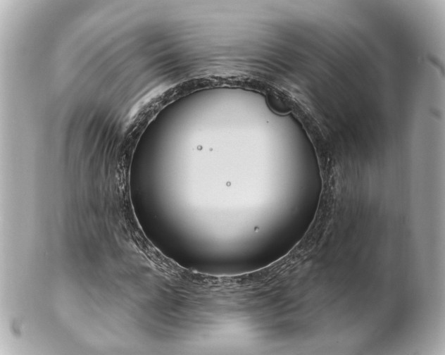 X0000100910920200807011240