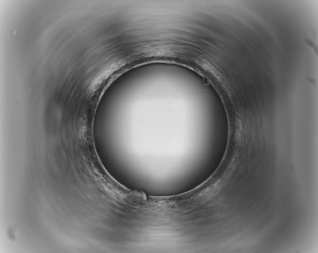 X0000100910922200807011240
