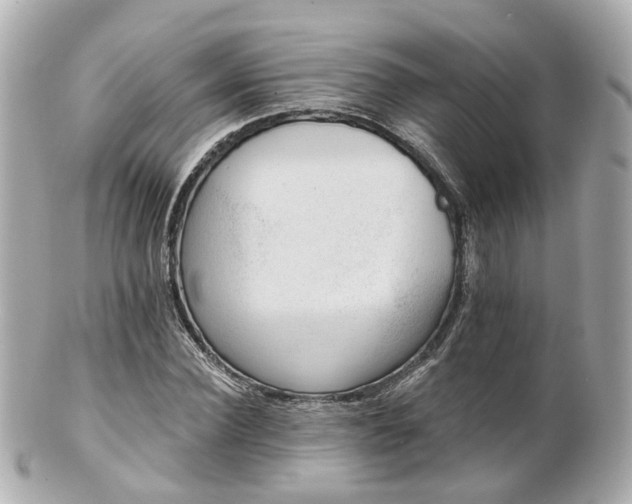 X0000100910924200807011240