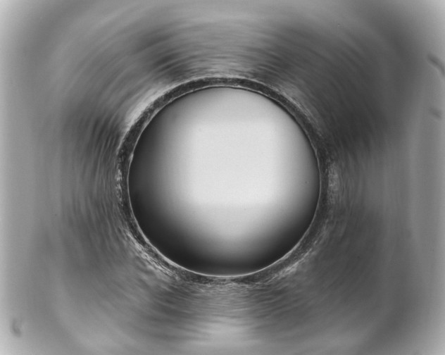 X0000100910926200807011240