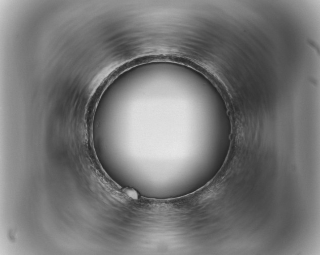 X0000100910927200807011240