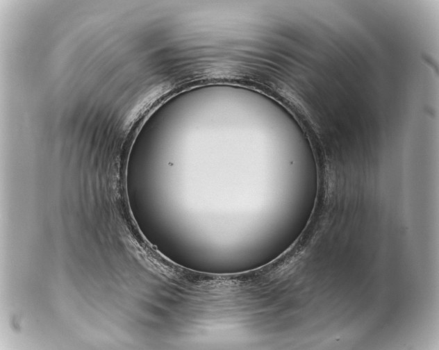 X0000100910930200807011240