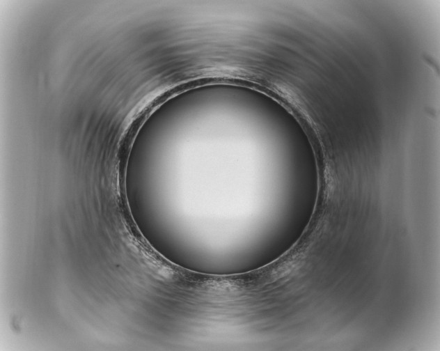 X0000100910931200807011240