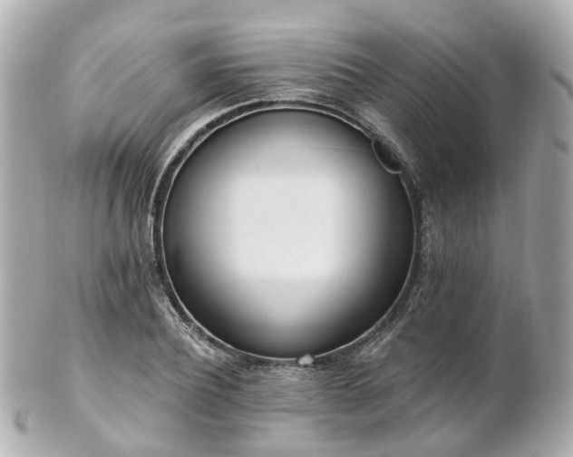 X0000100910932200807011240