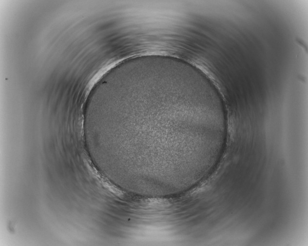 X0000100910933200807011240