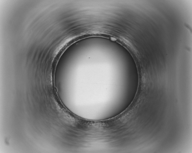 X0000100910934200807011240