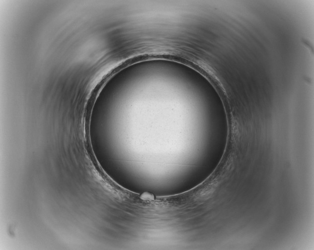 X0000100910935200807011240