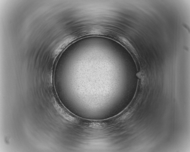X0000100910938200807011240