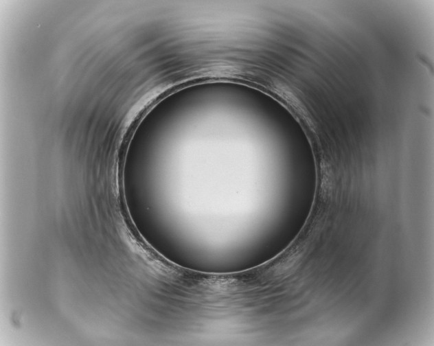 X0000100910939200807011240