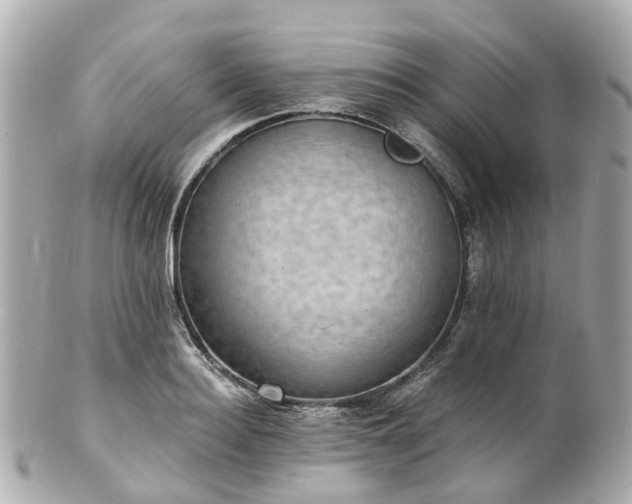 X0000100910940200807011240