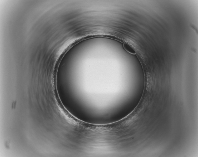 X0000100910942200807011240