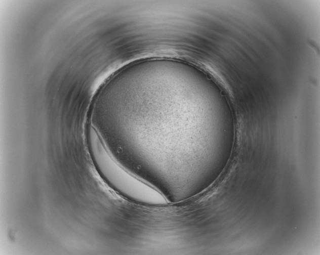 X0000100910944200807011240