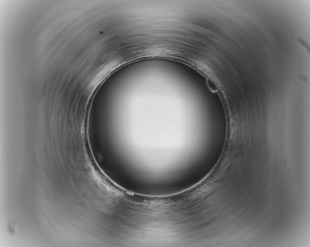 X0000100910946200807011240