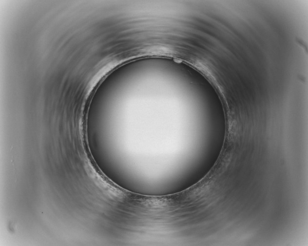 X0000100910947200807011240
