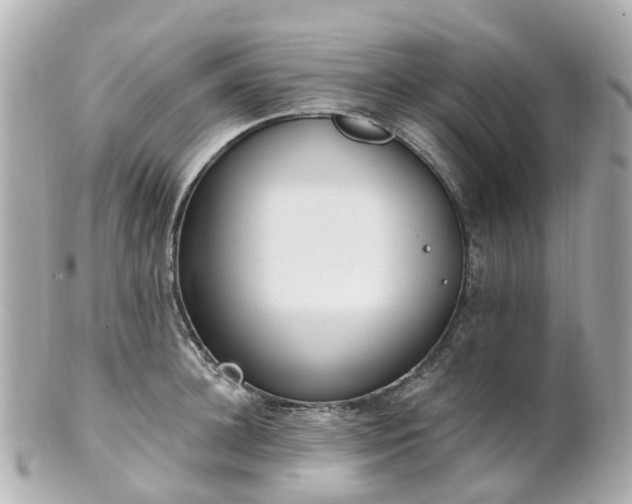 X0000100910948200807011240