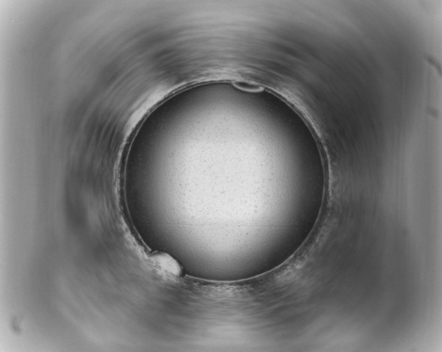 X0000100910949200807011240