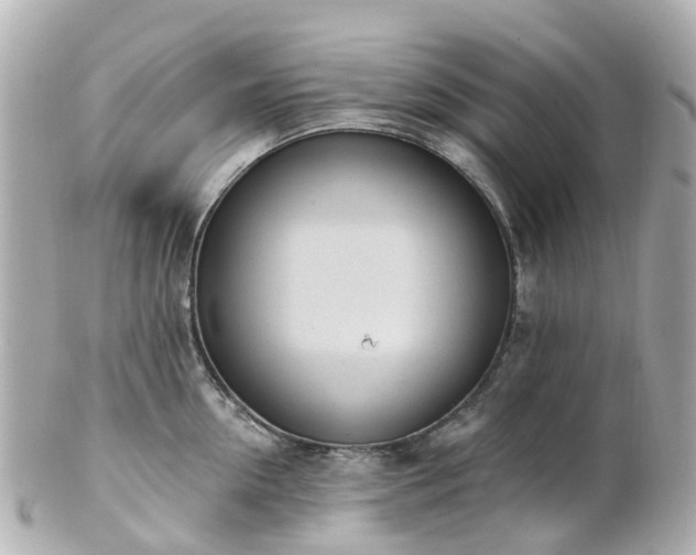 X0000100910954200807011240
