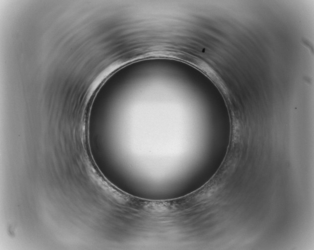 X0000100910955200807011240