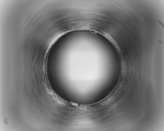 X0000100910956200807011240