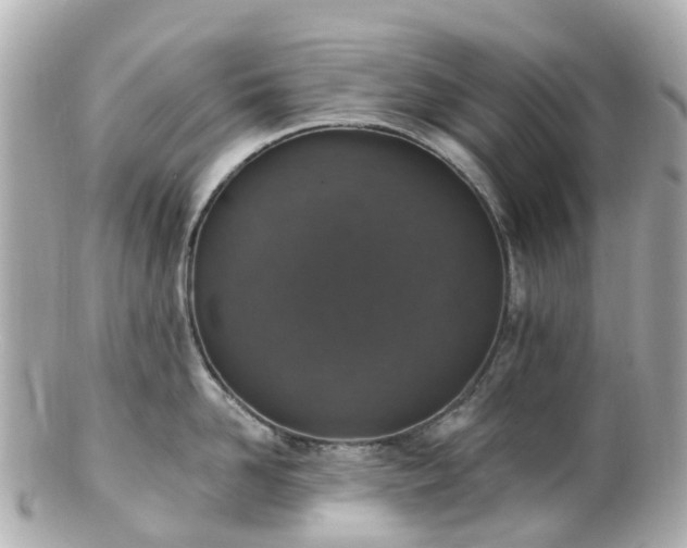 X0000100910958200807011240