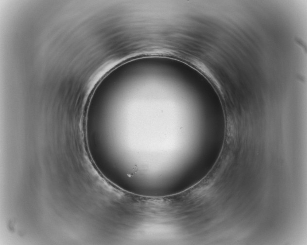 X0000100910959200807011240