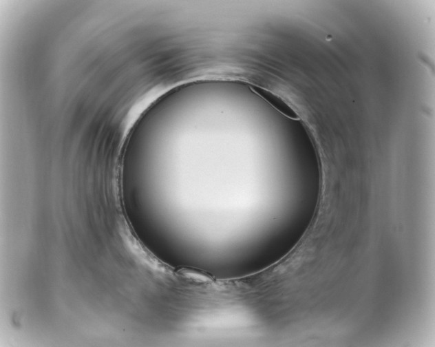 X0000100910960200807011240