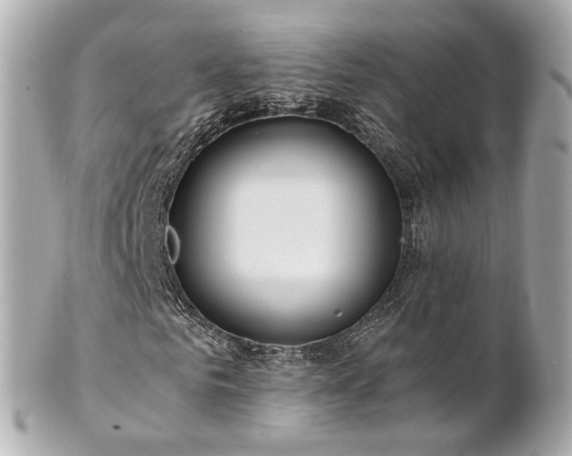 X0000100910961200807011240