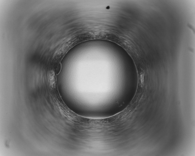 X0000100910963200807011240