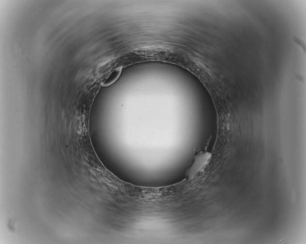 X0000100910965200807011240