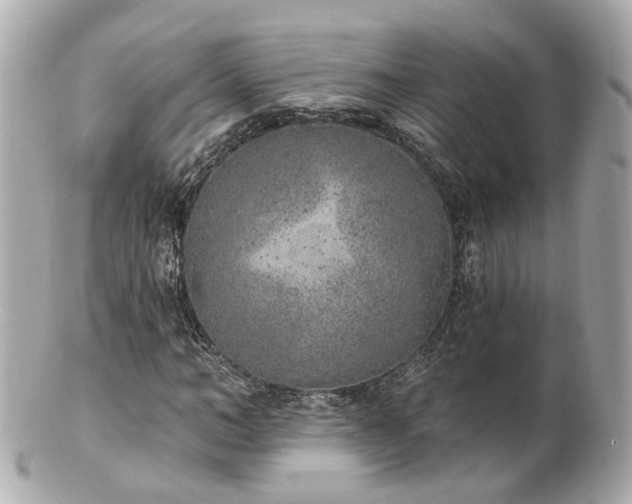 X0000100910966200807011240