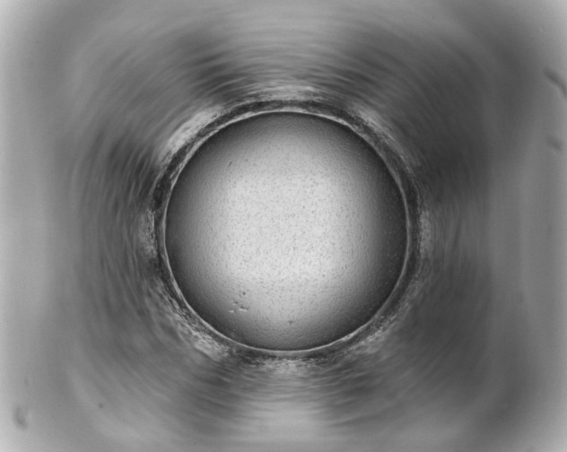 X0000100910970200807011240