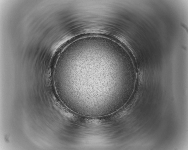 X0000100910971200807011240