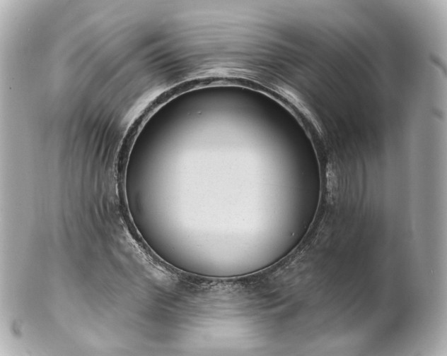X0000100910972200807011240