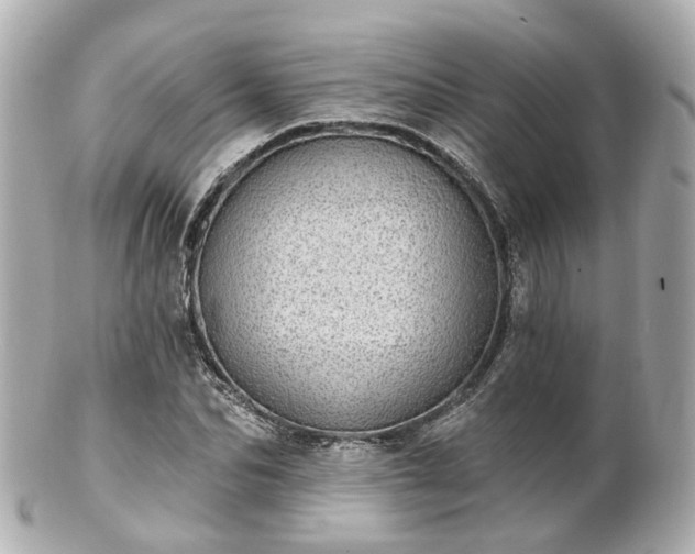 X0000100910974200807011240