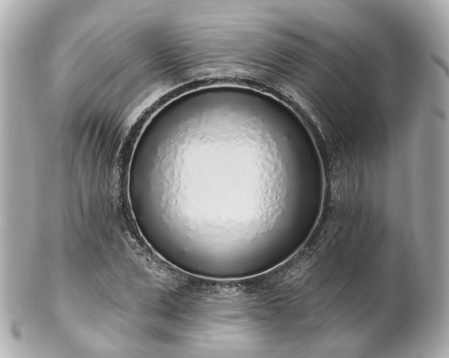 X0000100910975200807011240