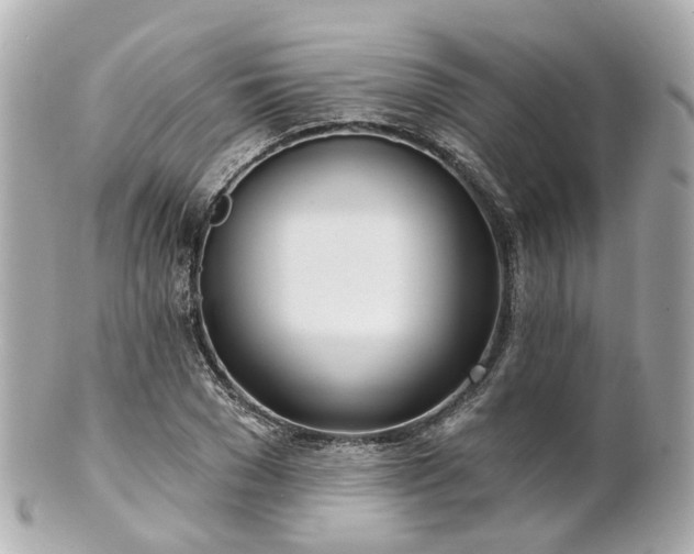 X0000100910977200807011239