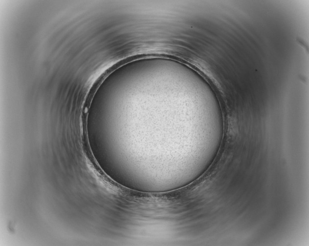 X0000100910980200807011239