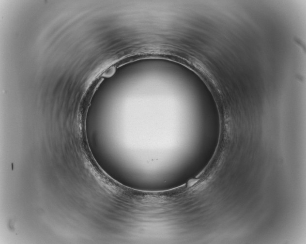 X0000100910981200807011239