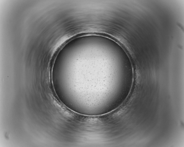X0000100910982200807011239
